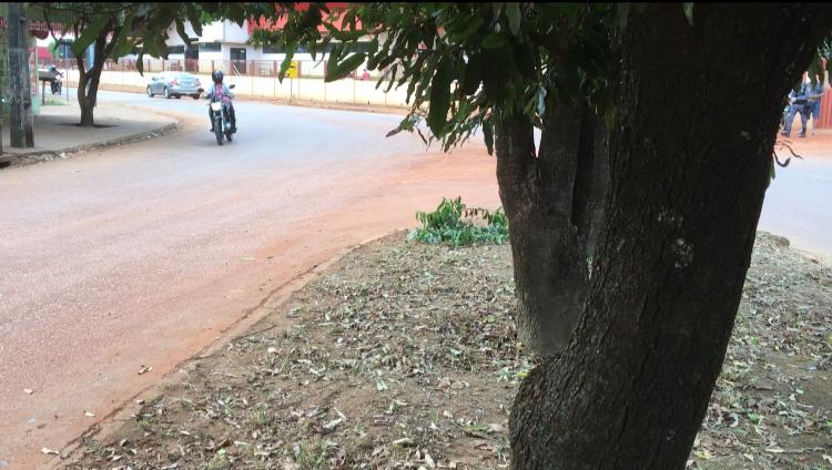 SINOP: Motociclista bate em árvore e fica em estado grave 9