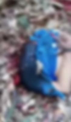 Pai recebe imagens do filho desaparecido com a cabeça decepada em Sinop 3