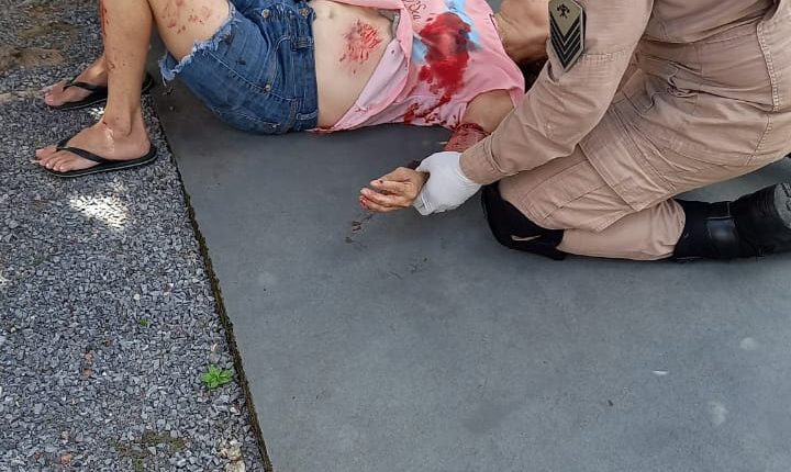 Pit Bull é morta a tiro após atacar mulher em Sinop